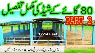 Dairy shed design in Pakistan II dairy farm shed II farming ideas II