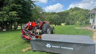 Massey Ferguson 245 Takes on 7ft Disc Mower!