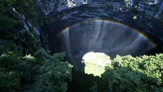 Pre-historic forest discovered in giant sinkhole in China