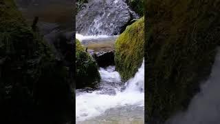 River's water flow | Gentle stream sounds | Relaxing stream sounds used for meditation