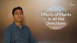 Effect of Plants in 16 Zones | MahaVastu | Acharya Somil Gupta