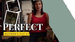 Mother's Day Gift Ideas | Catherine Arensberg