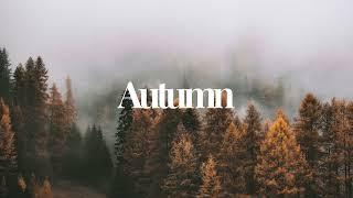 Lofi Chillout in Autumn || Autumn Mood || Moody Guy