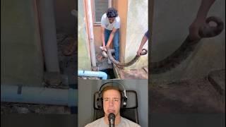 Humans Rescue a Snake From a Pipeline in a House and Put it Back To Nature - By pavan_ sarpmitra