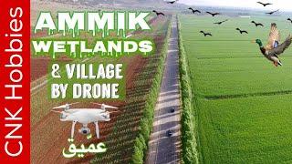 Ammiq Wetlands By Drone @ Skaff estate  in 4K | عمّيق, البقاع