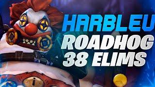 Harbleu Best Roadhog in the World - 38 elims! [ Overwatch Season 30 Top 500 ]