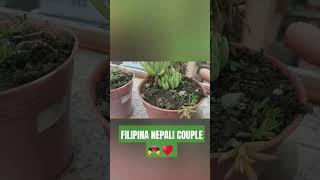 FILIPINA NEPALI COUPLE/OUR FLOWER GARDEN  IN NEPAL   PART 2