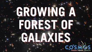 Growing a forest of galaxies | Cosmos From Your Couch