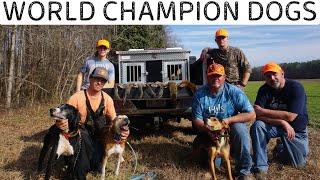 World Champion Squirrel Dog Hunt - Squirrel Hunting - APS