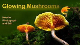 Glowing Mushrooms - How to photograph and edit