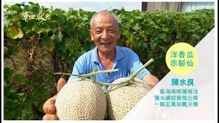 草地狀元-五萬元洋香瓜赤腳仙(20160801播出)careermaster / A NT$50,000 Melon?!