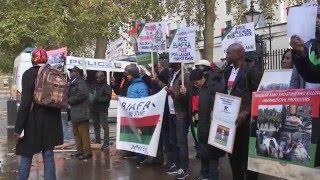 Biafra and Southern Cameroons might 'join forces to achieve independence'