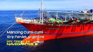 Mancing Cumi-cumi sirip pendek Argentina - (Kapal Penangkap Ikan Navegantes III)