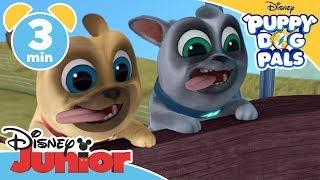 Puppy Dog Pals | Who Stole Mona Lisa?! - Magical Moment | Disney Kids