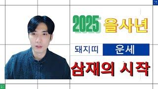 2025년 삼재 돼지띠 운세 을사년 복삼재 띠는 과연 어떤 띠일까!? 2025년 을사년 복삼재 알려드립니다! (돼지띠)