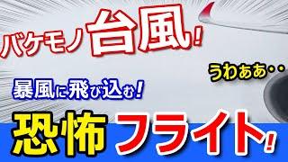 【恐怖】台風フライト！飛行機が暴風の中を飛ぶとどれくらい揺れる？【東京羽田→沖縄那覇空港】