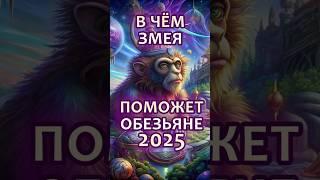 В чём повезет Обезьяне в 2025 год Змеи? #гороскоп #астрология