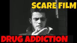 " DRUG ADDICTION " CLASSIC 1951 DRUG USE SCARE FILM XD12644a