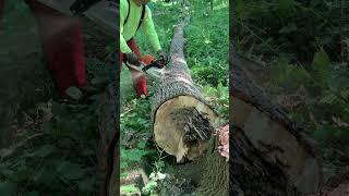 My Favorite Firewood Tool #firewood #stihl #chainsaw #tools #lifehacks #timesavingtips #woodworking