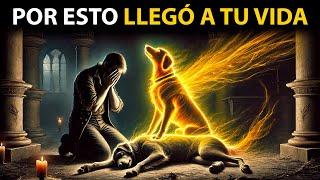 El Significado Espiritual de Tu Perro en Tu Vida