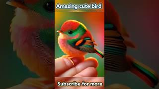 Whatch this #cute  #bird