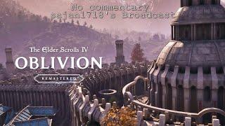 The Elder Scrolls IV: Oblivion Remastered - Part 9 - 4K/60FPS - No commentary - PC