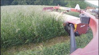 Mowing Darn Nice Hay!