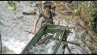 How to make a primitive fish trap using bamboo to catch fish extremely effectively