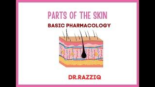 SKIN's Components | Dr.Razziq 092 | UNITED ARAB EMIRATES | Basic Pharmacology |#pharmacists