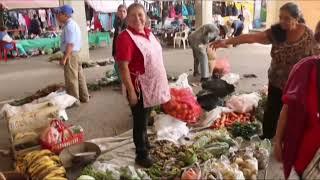 Monitv tu canal comunitario te invita a disfrutar y conocer nuestra biodiversidad.