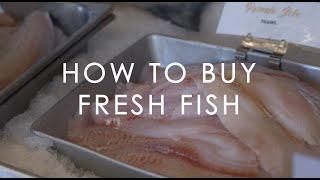 How to Buy Fresh Fish | a Fishmonger's Guide