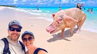 The Absolute BEST Swimming with Pigs Tour | Rose Island | Nassau, Bahamas