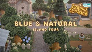 Blue Themed Natural & Overgrown Cottagecore Town // Animal Crossing New Horizons