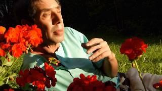 Сергей Соловьев "Гуляем..."