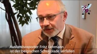 Wir sind Ehingen Fritz Lehmann erzählt von Brüssel