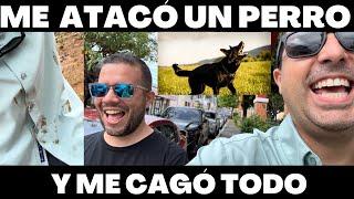 ME ATACÓ UN PERRO Y ME CAGO TODO | VLOG 355 | Alejandro Gil