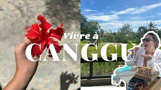 POURQUOI VIVRE À CANGGU | Notre retour à Bali