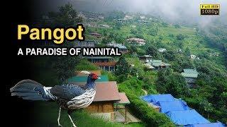 Pangot - पंगोट ( Nainital)