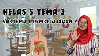 Kelas 5 Tema 3 Subtema 1 Pembelajaran 2 || Makanan Sehat || Pentingnya Makanan Sehat Bagi Tubuh