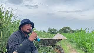 Lk anh nông dân cover ️️
