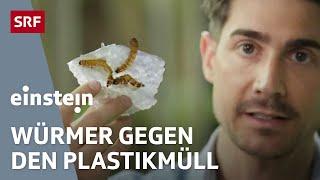 Problem Plastikmüll – 5 mögliche Lösungsansätze für unser Kunststoffproblem | Einstein | SRF Wissen