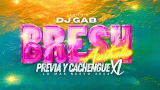 BRESH  PREVIA y CACHENGUE XL  LO MAS NUEVO 2024  DJ GAB