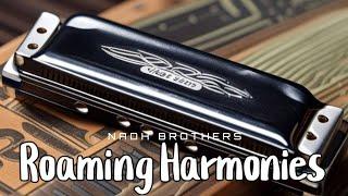 Roaming Harmonies | Nadh Brothers