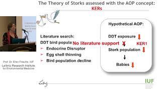 2-Building AOPs for Neurotoxicity: Perspective from an Academic