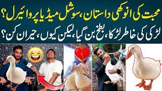 Duck Love Story || Mudassir Ki Batain