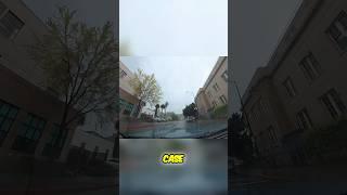 California Lawyer with Crazy Car Collection