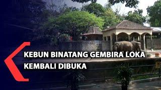 Kebun Binatang Gembira Loka Kembali Dibuka