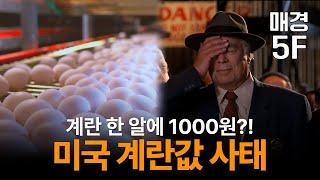 [매경5F] 한 알에 1000원, 한 판에 12000원이 된 미국의 계란 부족사태