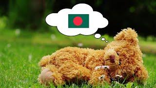 Learn Bengali While You Sleep - 1000 Important Bengali Words & Phrases