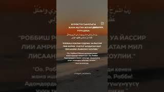 жүрөктүн тынчтыгы 